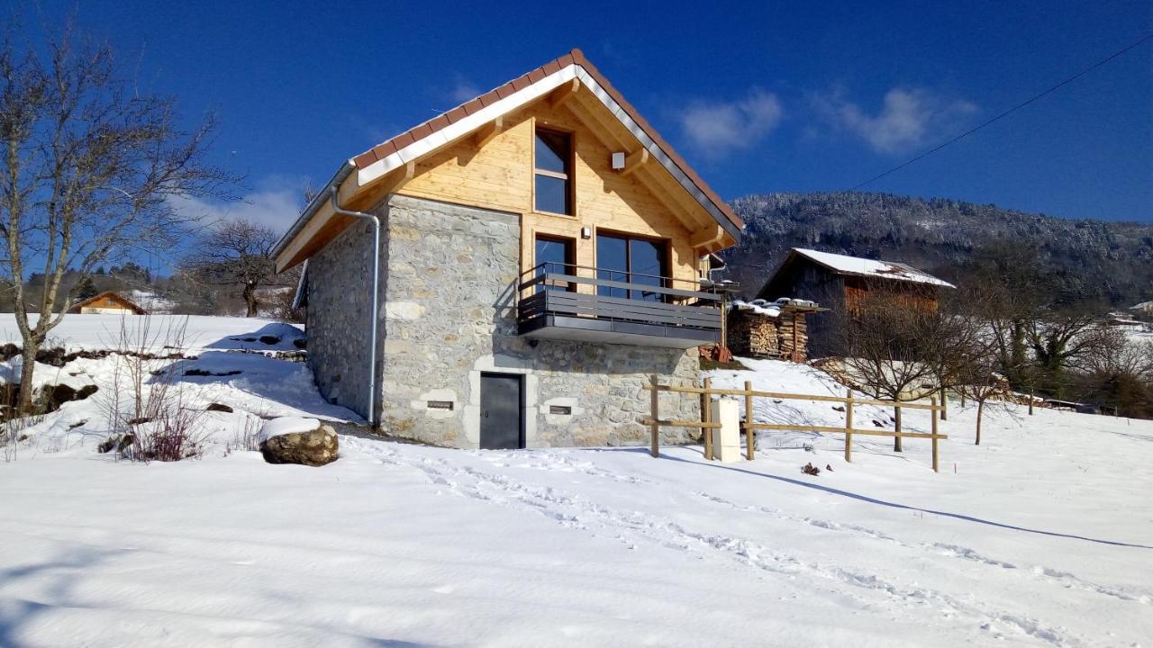 Le Chalet Des Pierres Viuz-en-Sallaz Exterior photo